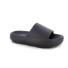 THEOMOL 36 41